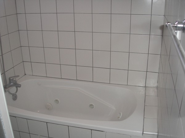 Picture 002 (600 x 449)50